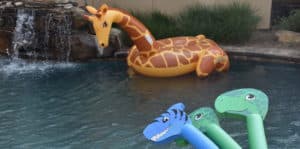 Pool Accessories