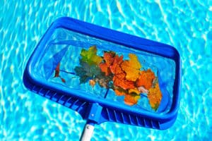 Skimming leaves from pool